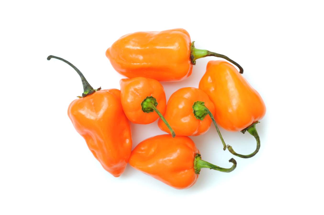 habanero-peppers-orange-1