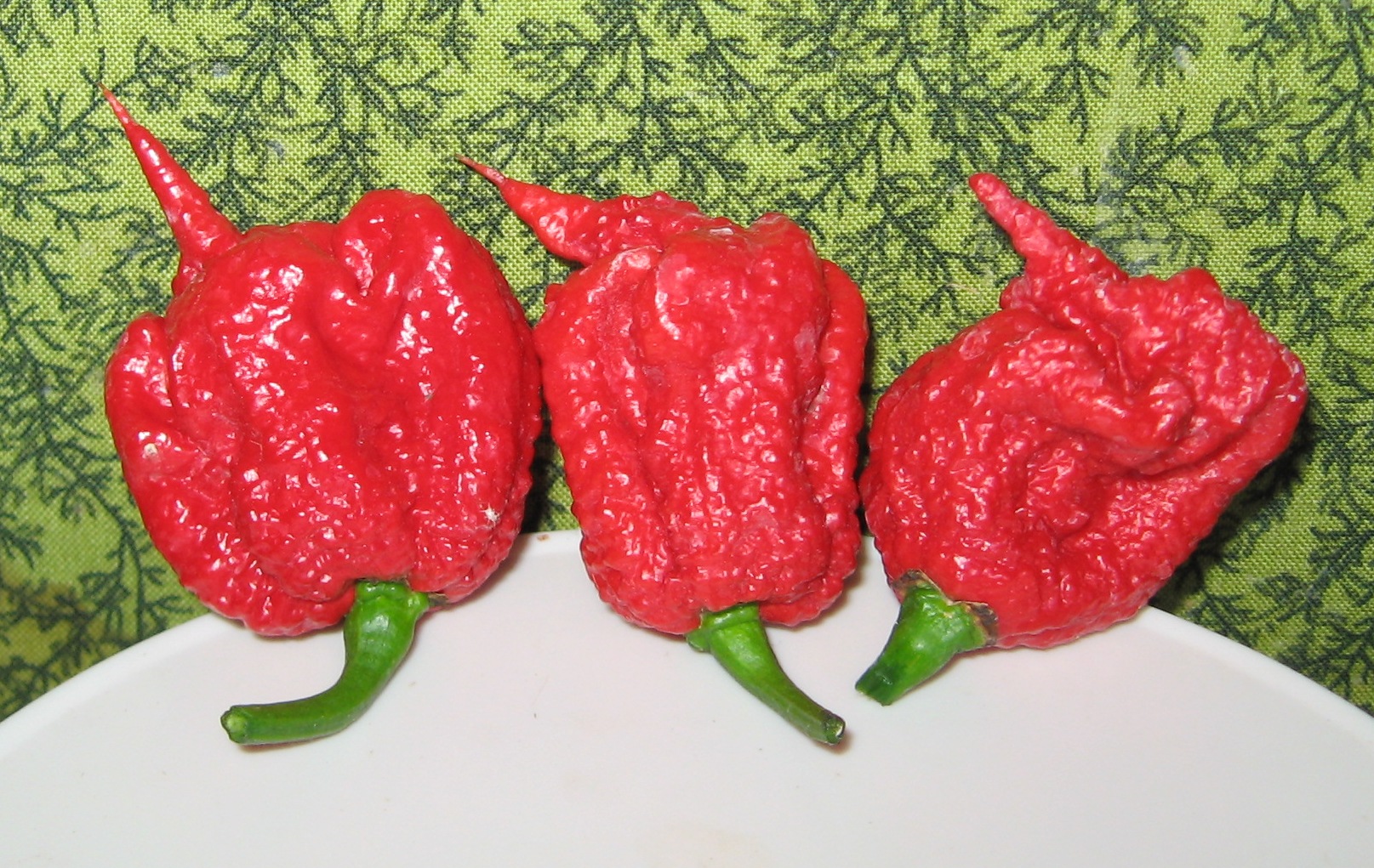 carolina-reaper